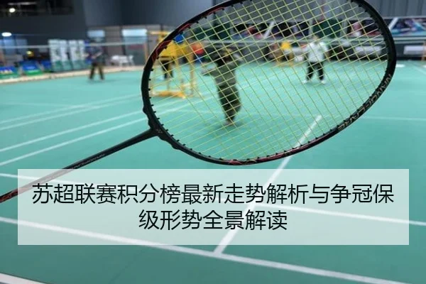 苏超联赛积分榜最新走势解析与争冠保级形势全景解读